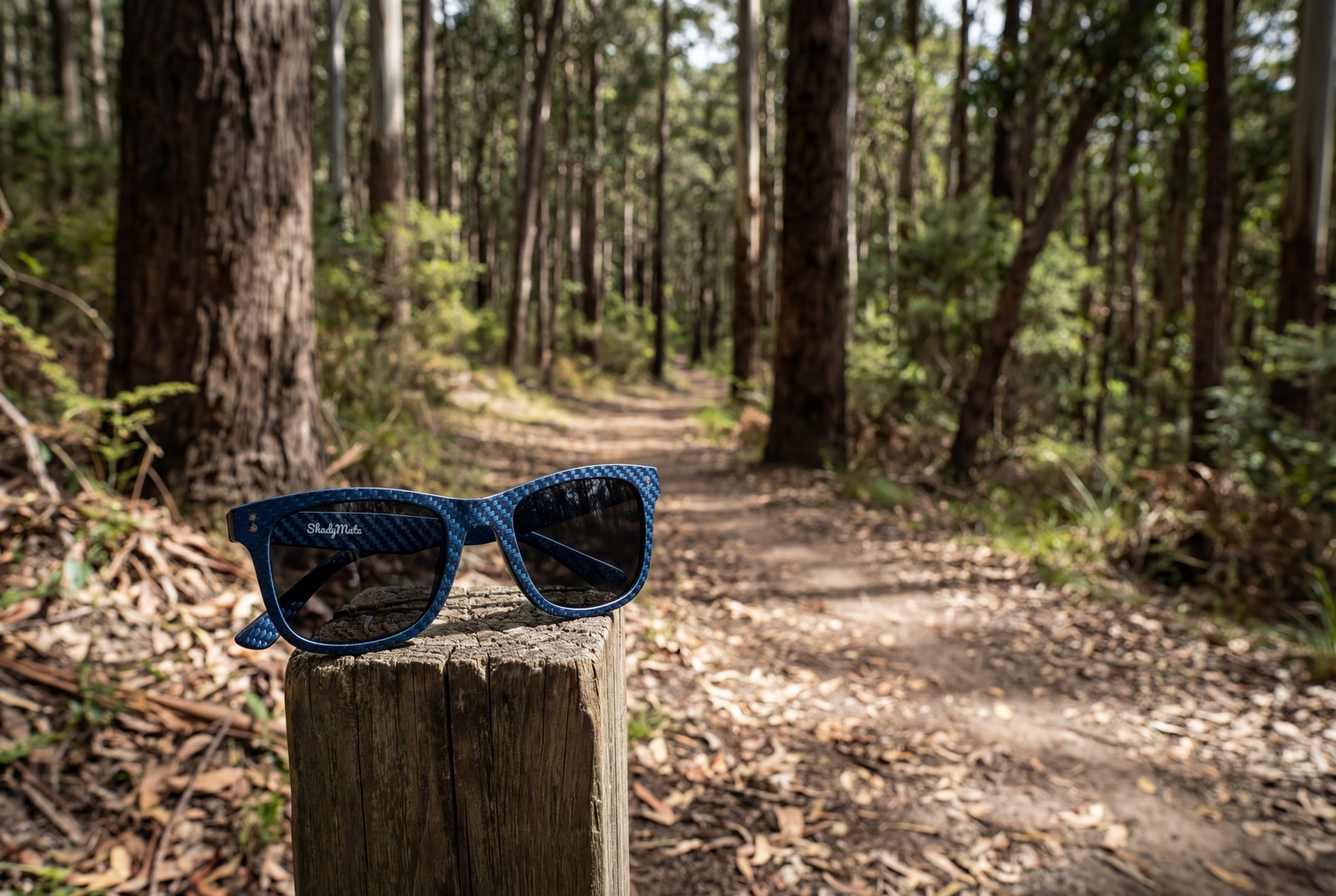 Sunglasses for Big Heads: Finding Frames That Actually Fit